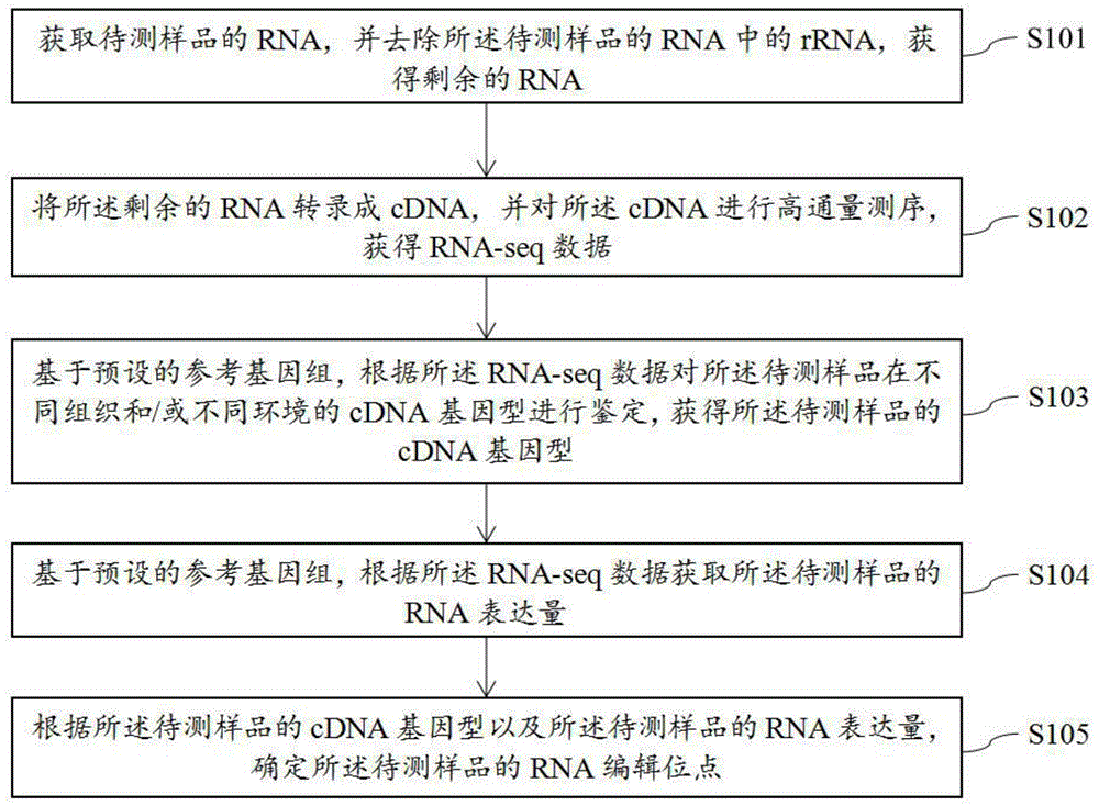 一种检测牦牛RNA编辑位点的方法及装置与流程