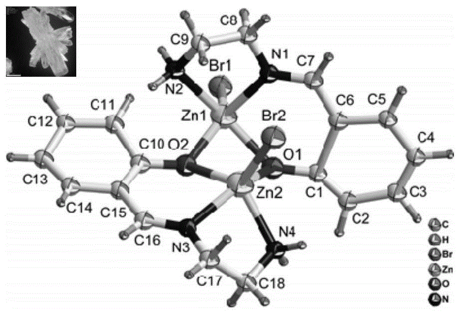 含五配位Zn2+离子的Zn(II)-乙二胺配合物及其制备方法与流程