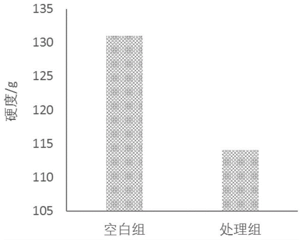 一种鸢乌贼肌肉改性方法与流程