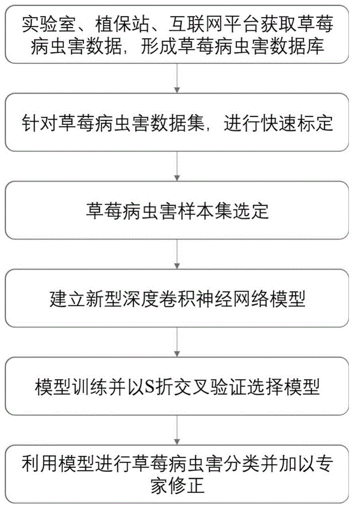 一种草莓病虫害快速分类方法及装置与流程