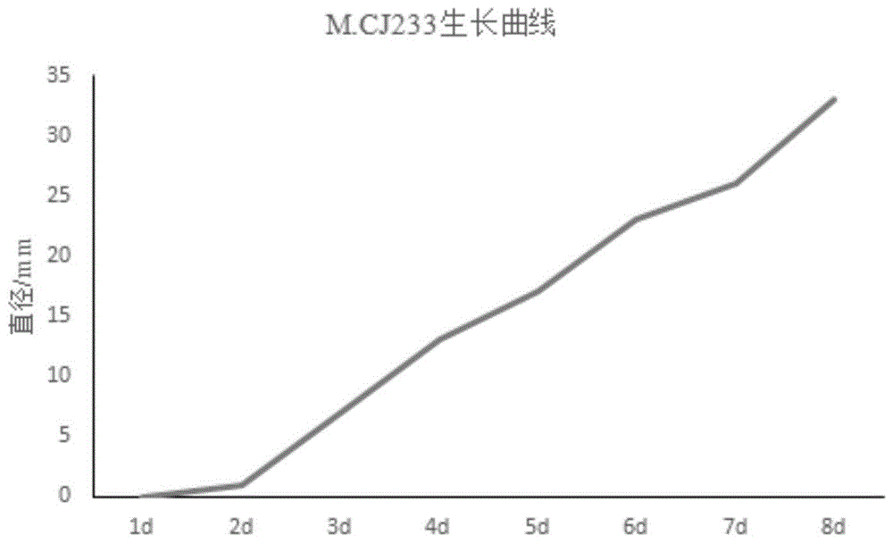 一种紫色红曲霉及其用途的制作方法