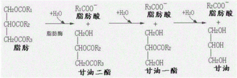 一种天然胶乳稳定剂及其应用的制作方法