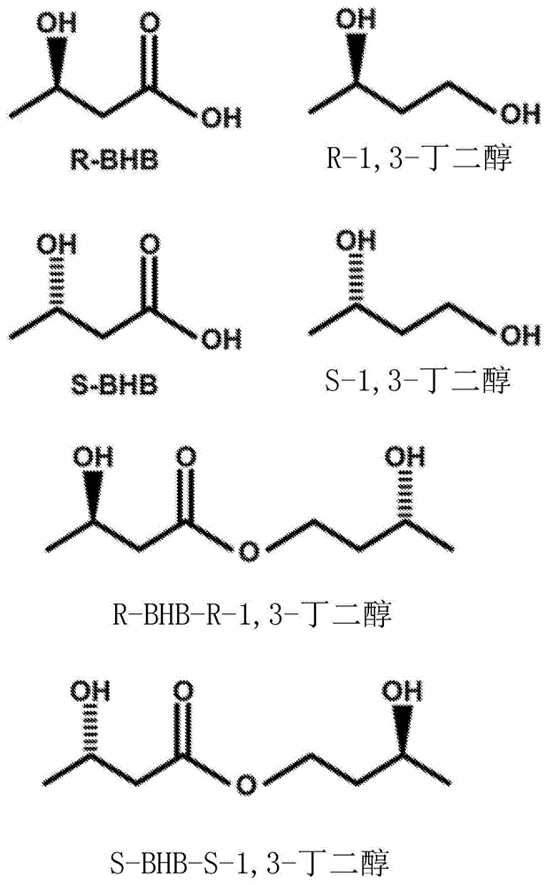 β-羟基丁酸酯和丁二醇的S对映异构体及其使用方法与流程