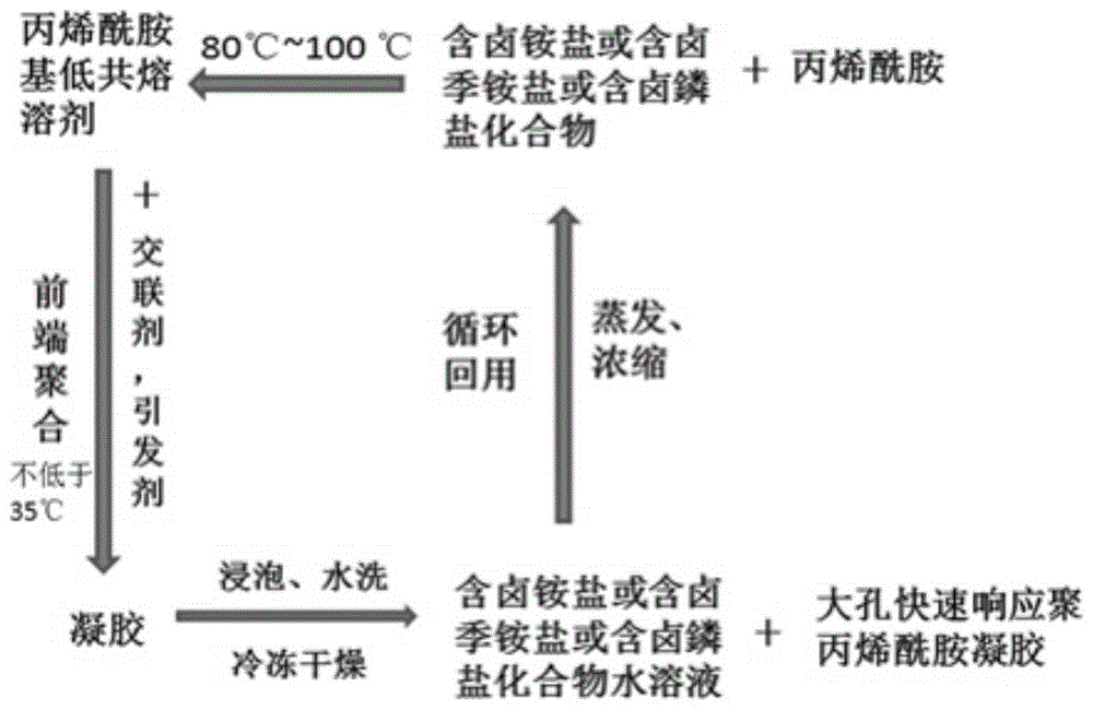 一种采用丙烯酰胺基低共熔溶剂前端聚合制备大孔快速响应聚丙烯酰胺水凝胶的方法与流程