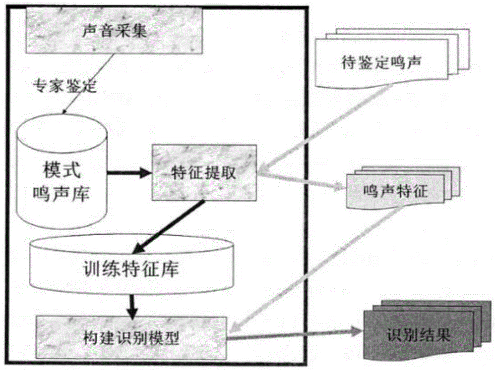 基于语音识别技术的生物多样性物种分析方法与流程