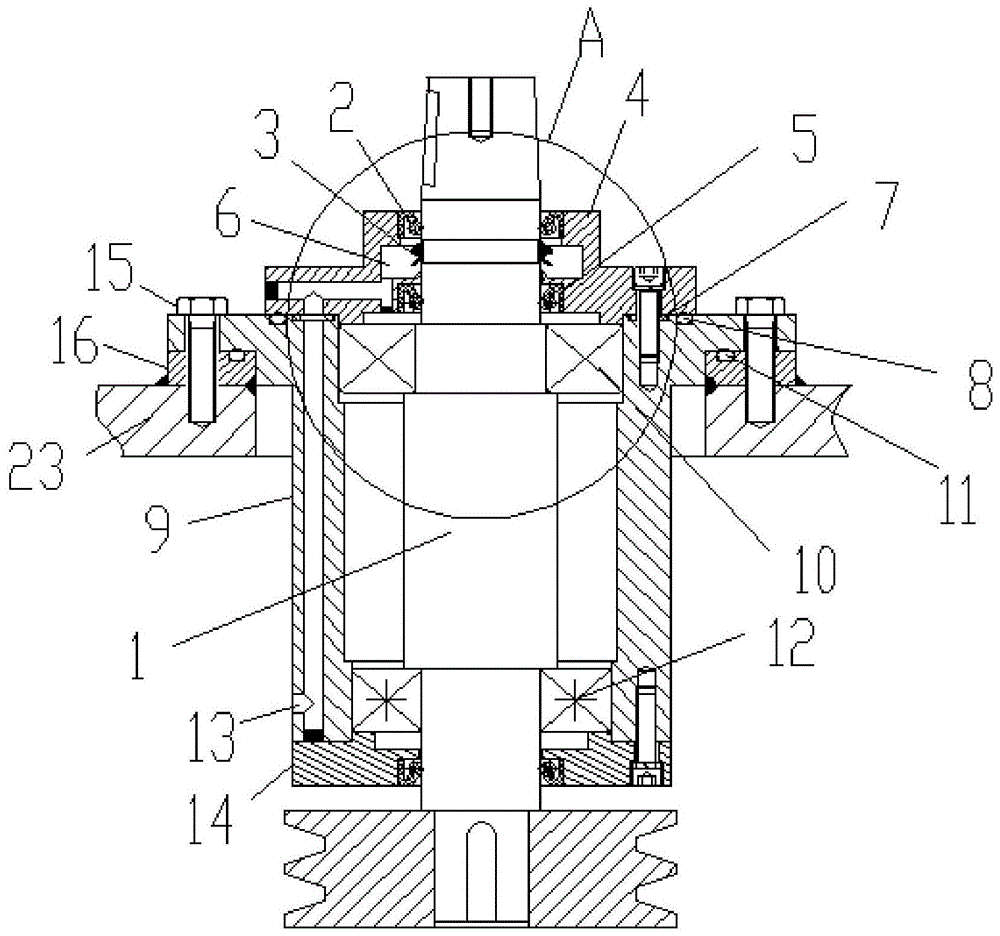 一种平板离心机传动防水结构,包括:机体,主轴,轴承座和第一骨架油封