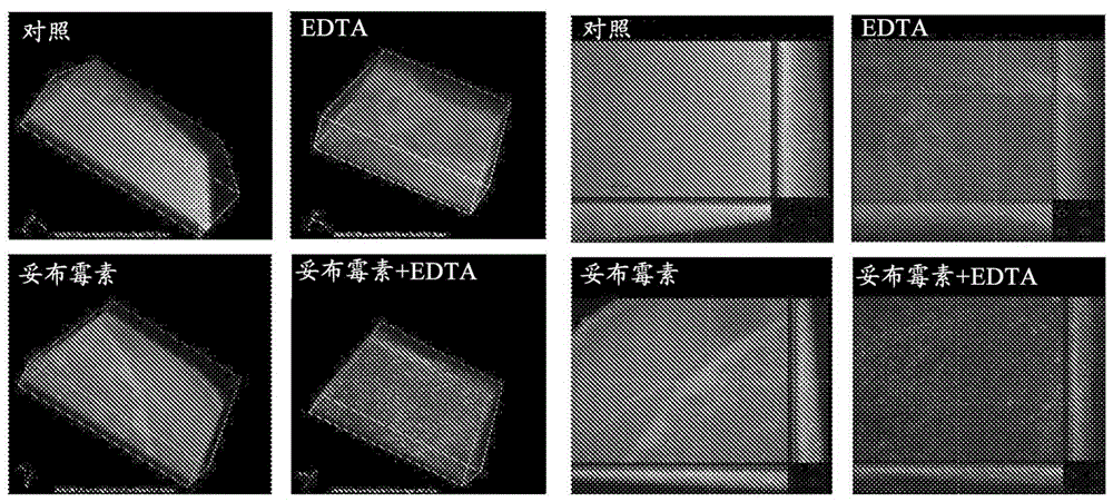 减轻肺部炎症的方法与流程