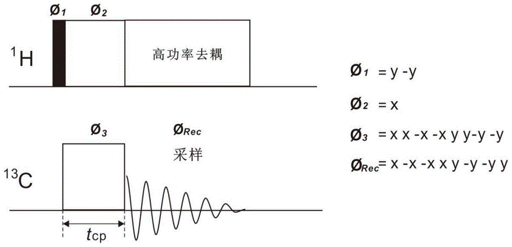 基于逐次交叉极化的固体核磁共振定量检测方法和装置与流程