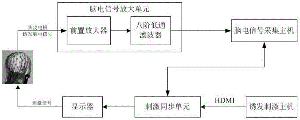 一种用于视觉诱发电位检测的视频同步装置及同步方法与流程