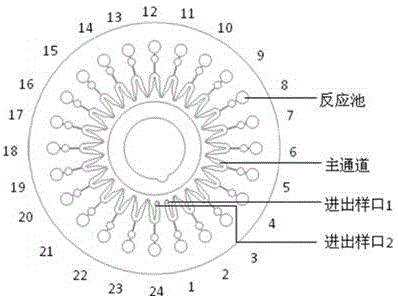 检测6项呼吸道病毒的引物探针组合、试剂盒及应用的制作方法