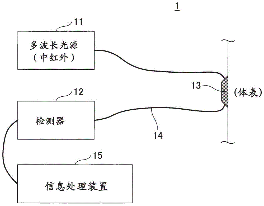 测量装置和测量方法与流程