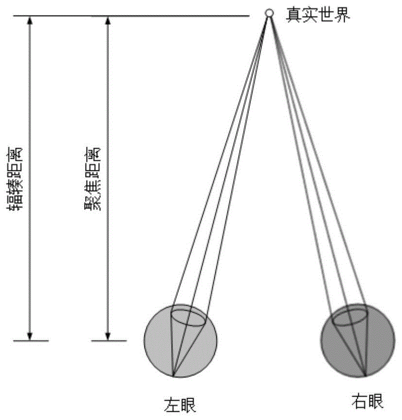 一种光场显示装置及其显示方法与流程