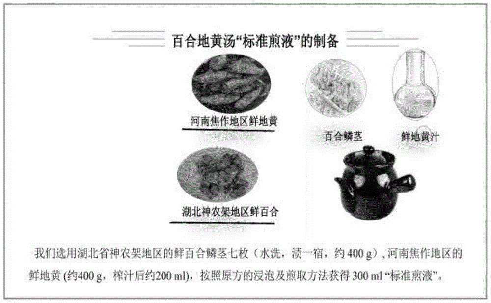 一种百合地黄汤标准煎液制备方法与流程