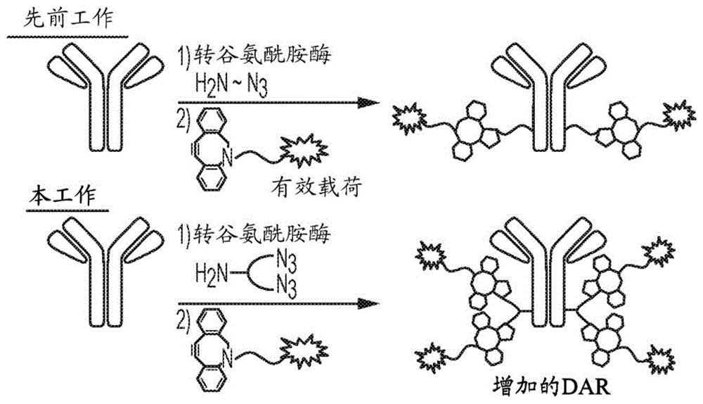 用于抗体药物缀合物的接头的制作方法