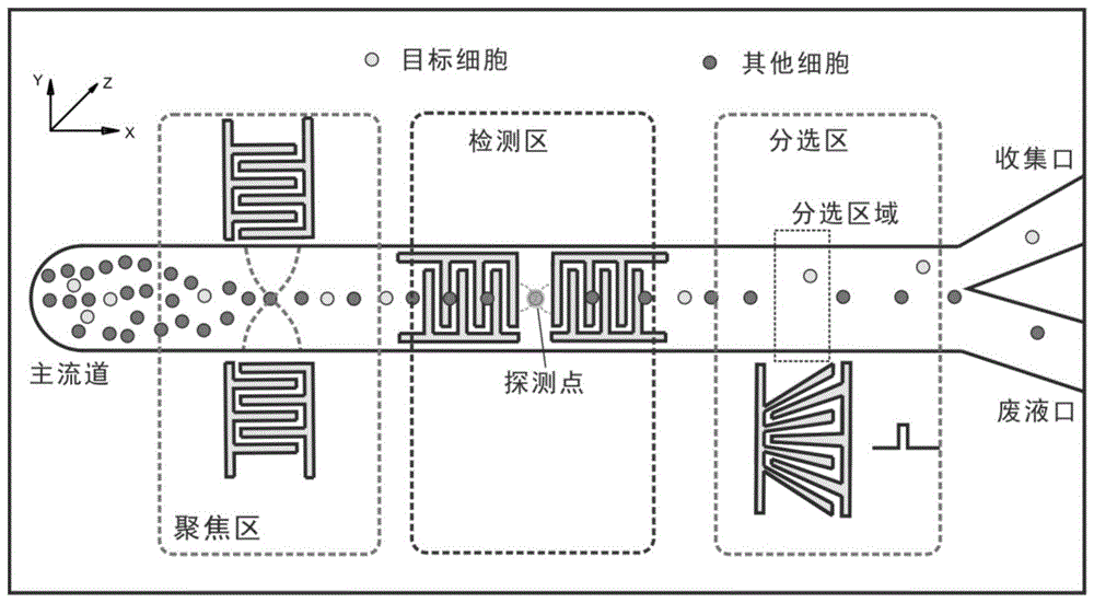 用于颗粒操控的微流控芯片的制作方法