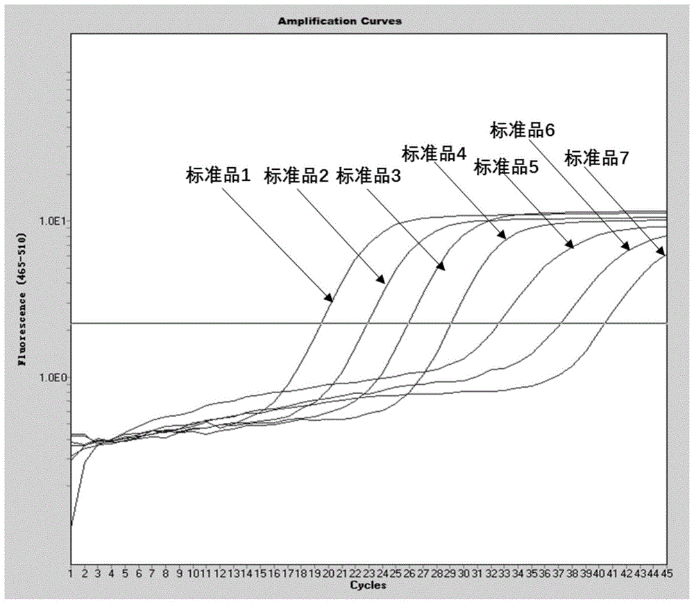 新型冠状病毒2019-nCoV实时荧光定量PCR检测引物和探针、试剂盒和方法与流程