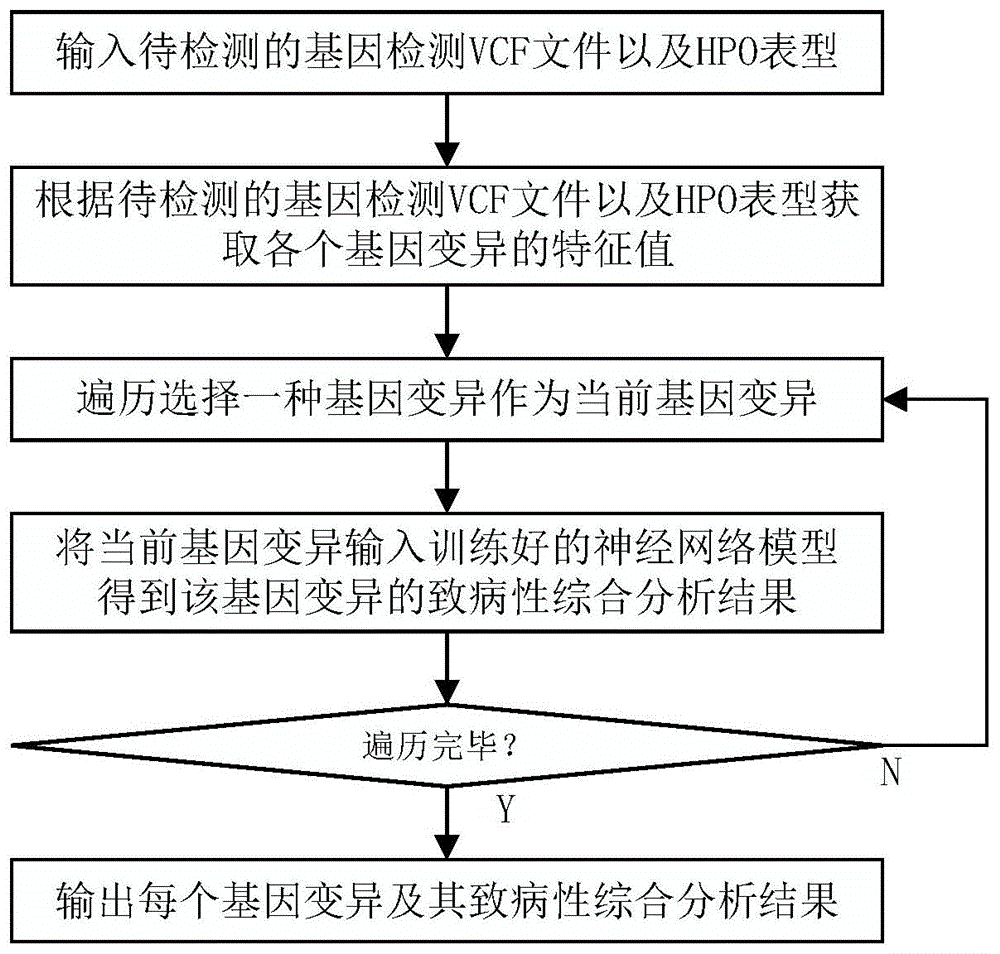 基于神经网络的基因突变致病性检测方法、系统及介质与流程