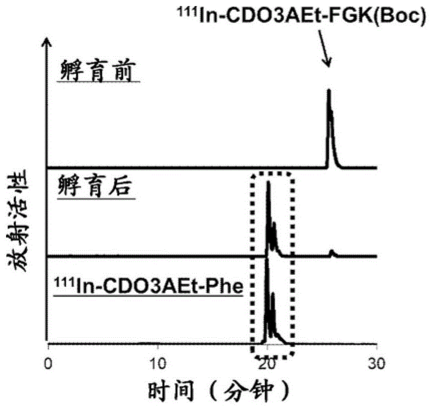 放射性药物的制作方法