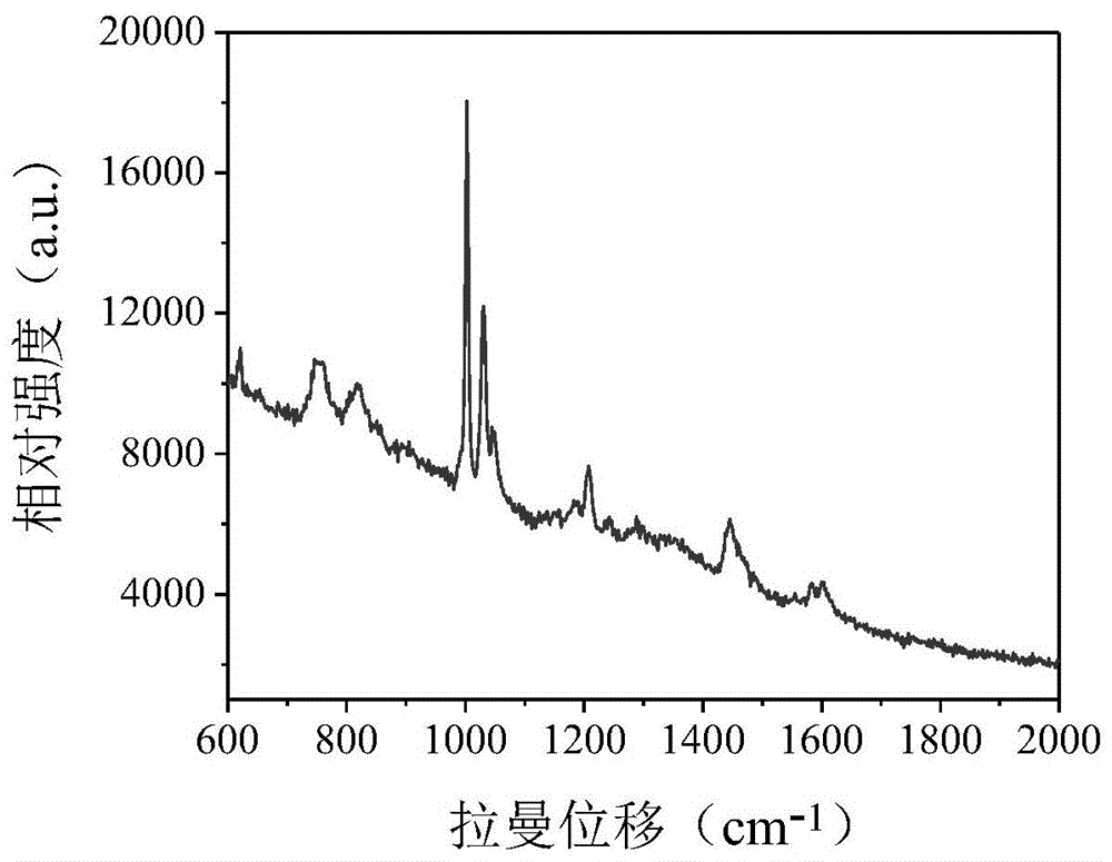 一种掺杂毒品的SERS检测方法与流程