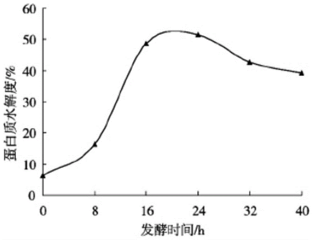 一种蜂胶蛋白肽及其制备方法和应用与流程