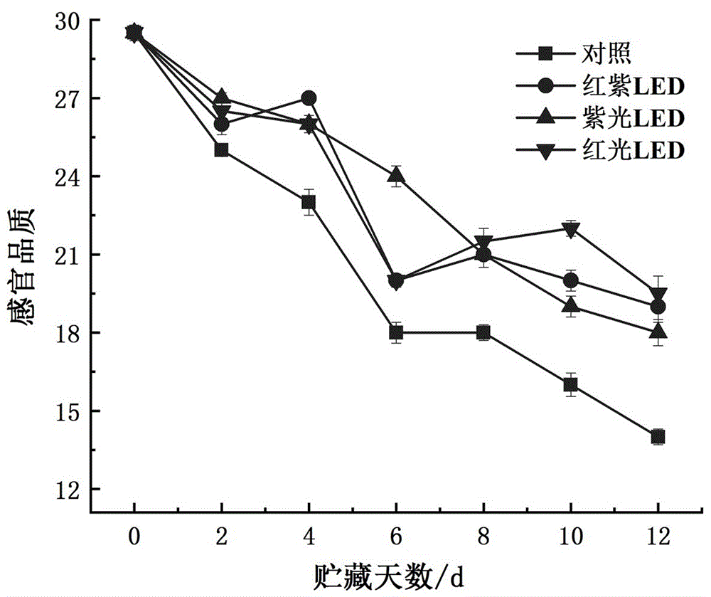 一种通过红紫LED光照保鲜鲜切鸡毛菜的方法与流程