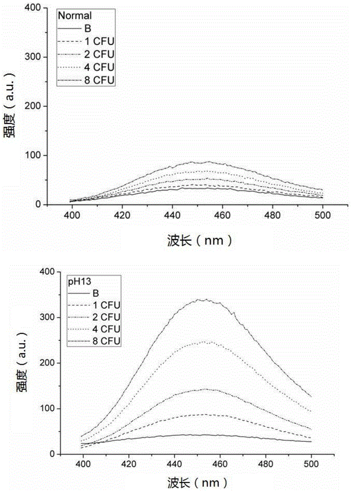 一种用于酶底物法检测大肠杆菌的荧光信号增强方法与流程