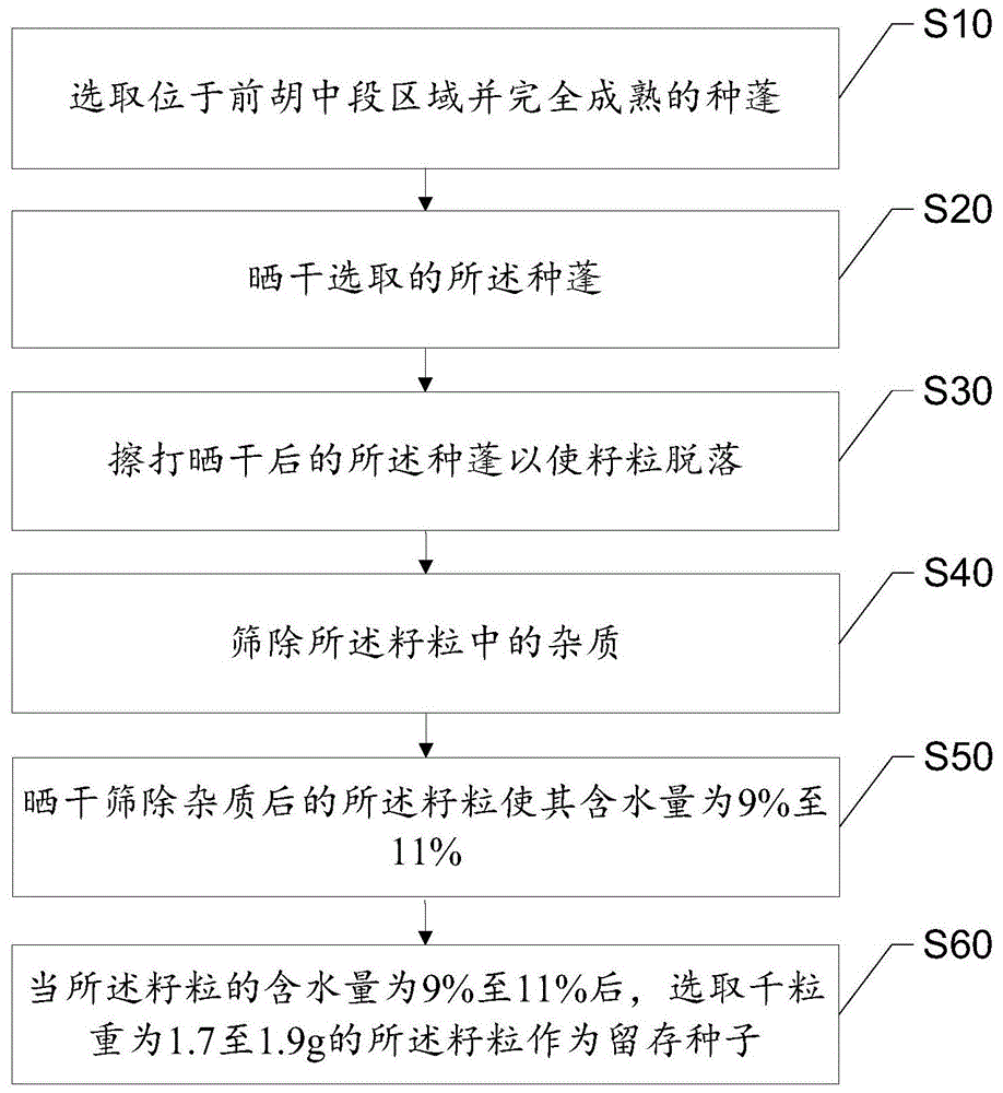 一种前胡的选种方法与流程