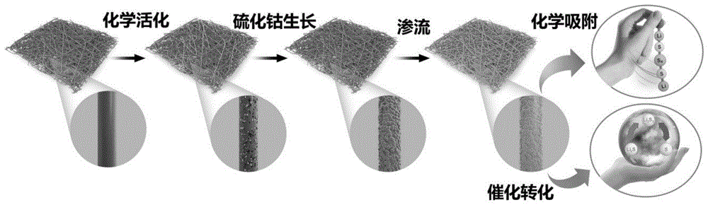 一种二硫化钴/碳纳米纤维/硫复合材料、其制备方法与应用与流程