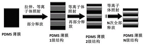 弹性体PDMS多级褶皱表面的快速制备方法与流程
