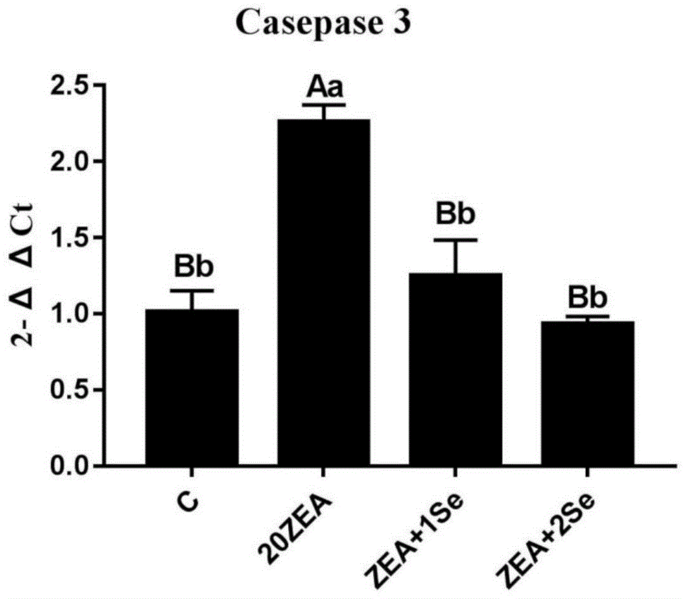 壳聚糖硒降低F-2毒素致猪子宫内膜上皮细胞CASP3基因表达升高的应用的制作方法