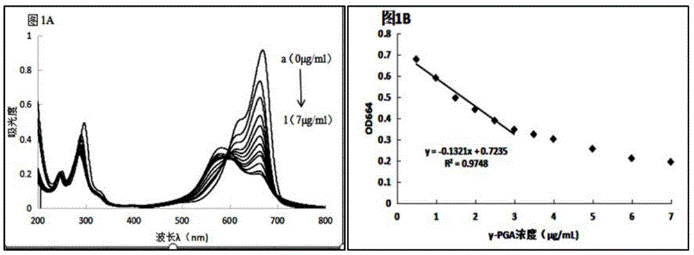 一种测定溶液中γ-PGA浓度的亚甲基蓝比色法的制作方法