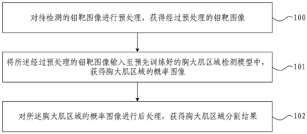 钼靶图像中胸大肌区域自动检测方法及装置与流程