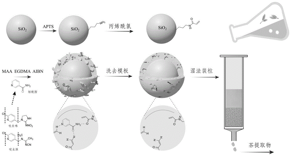 烟酰胺虚拟模板表面分子印迹材料及其制备方法和应用与流程