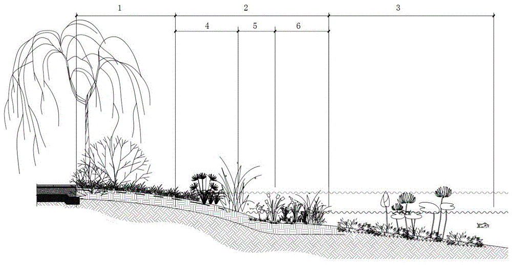 一种基于水位梯度与植物融合的人工湿地构建方法与流程