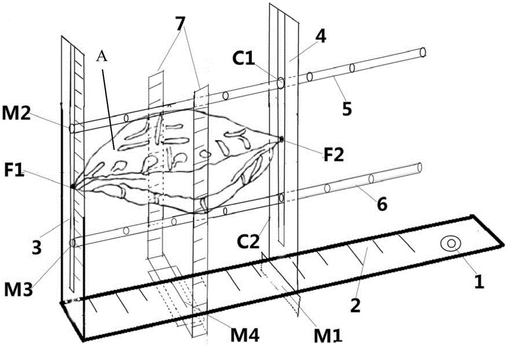 黄缘闭壳龟背甲良度测量尺和测量方法与流程