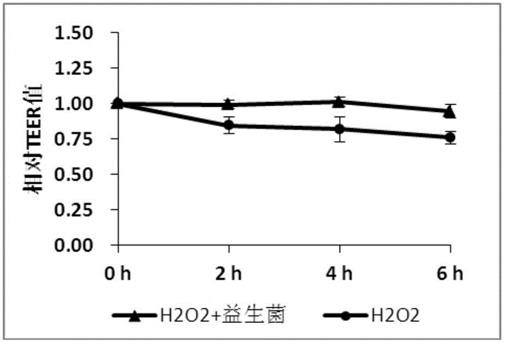 母乳化的复合益生菌微胶囊粉及其制备方法和应用与流程