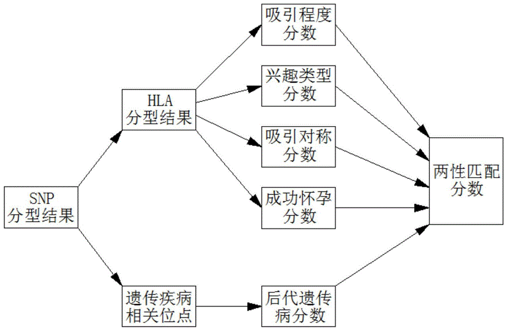 分三阶段配对