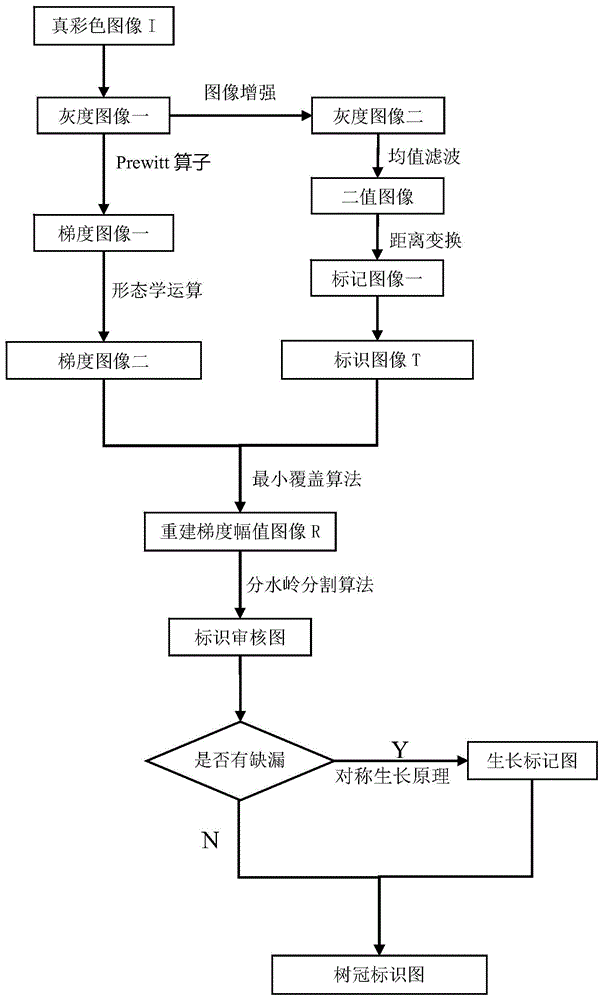 一种基于高分辨率遥感图片的单木树冠提取方法与流程