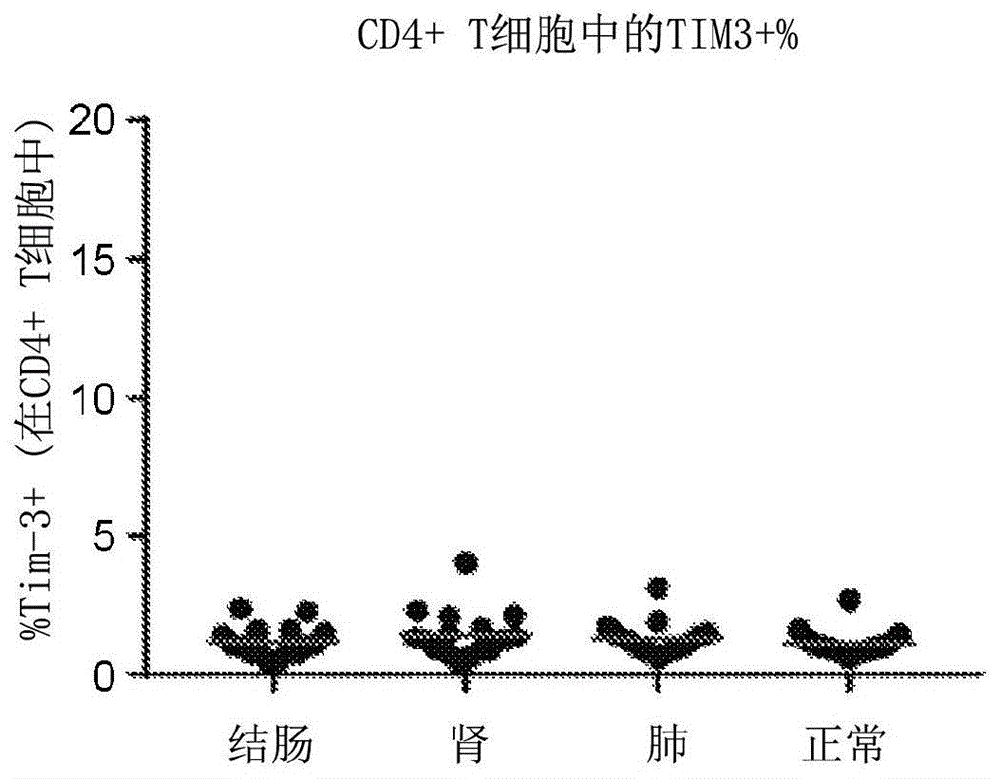 用于治疗和诊断癌症的TIM-3拮抗剂的制作方法