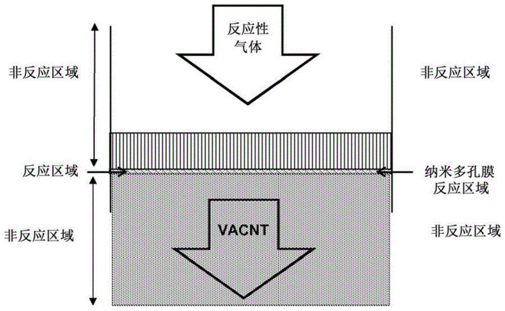 附着于基材的碳纳米管的制造方法与流程