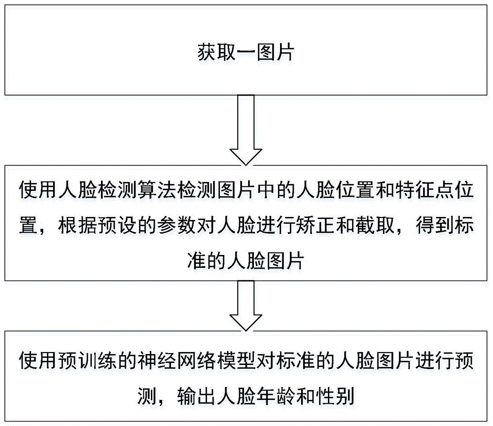 基于人脸图像进行年龄和性别预测的方法、系统和设备与流程