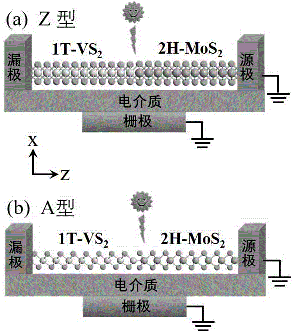 一种基于过渡金属二硫化物侧面异质结的光子探测器的制作方法