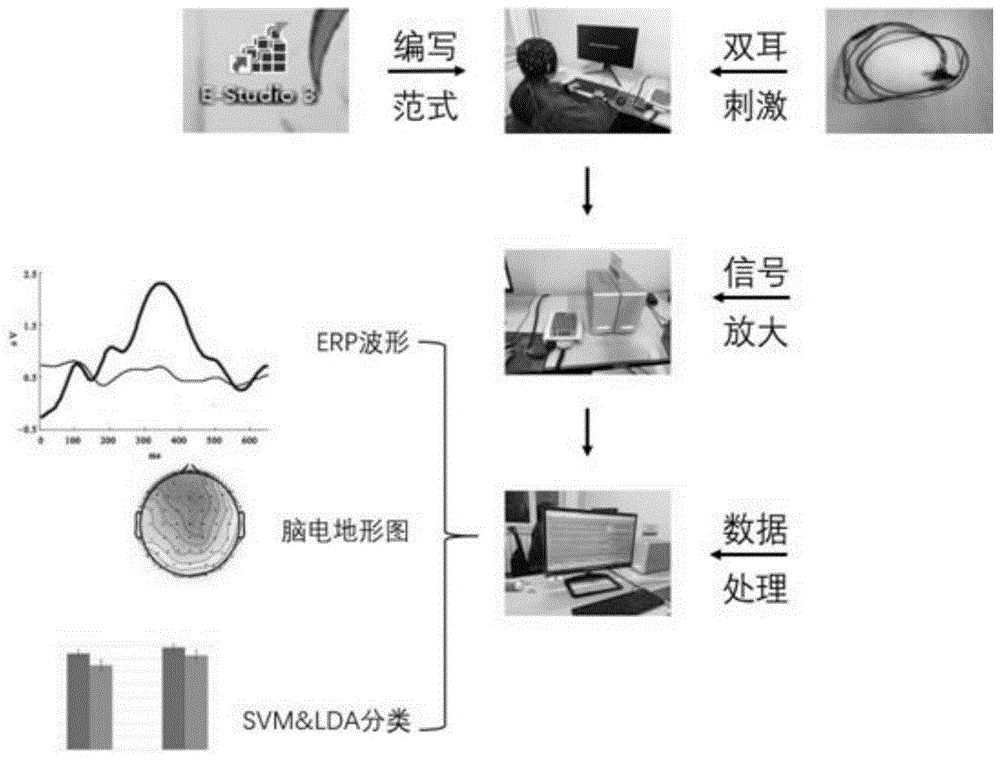 一种构建基于不同长度名字刺激的ERP范式的方法与流程