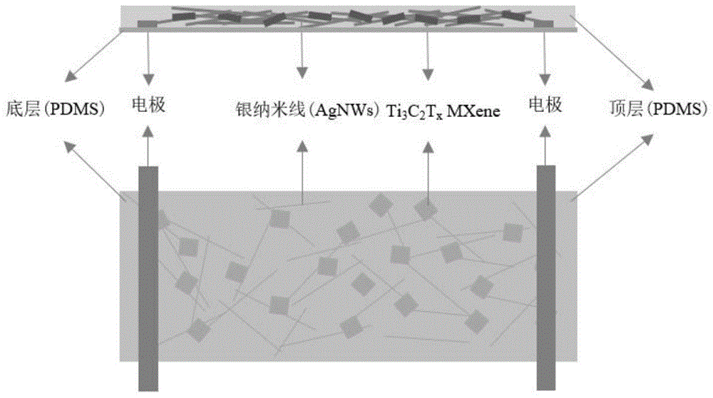 一种可穿戴透明柔性薄膜型应变传感器的制备方法与流程