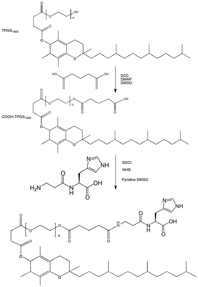 一种肌肽-TPGS化合物及其制备方法和用途与流程