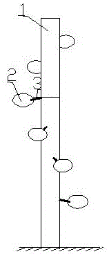 一种北方温室铁皮石斛栽培装置的制作方法