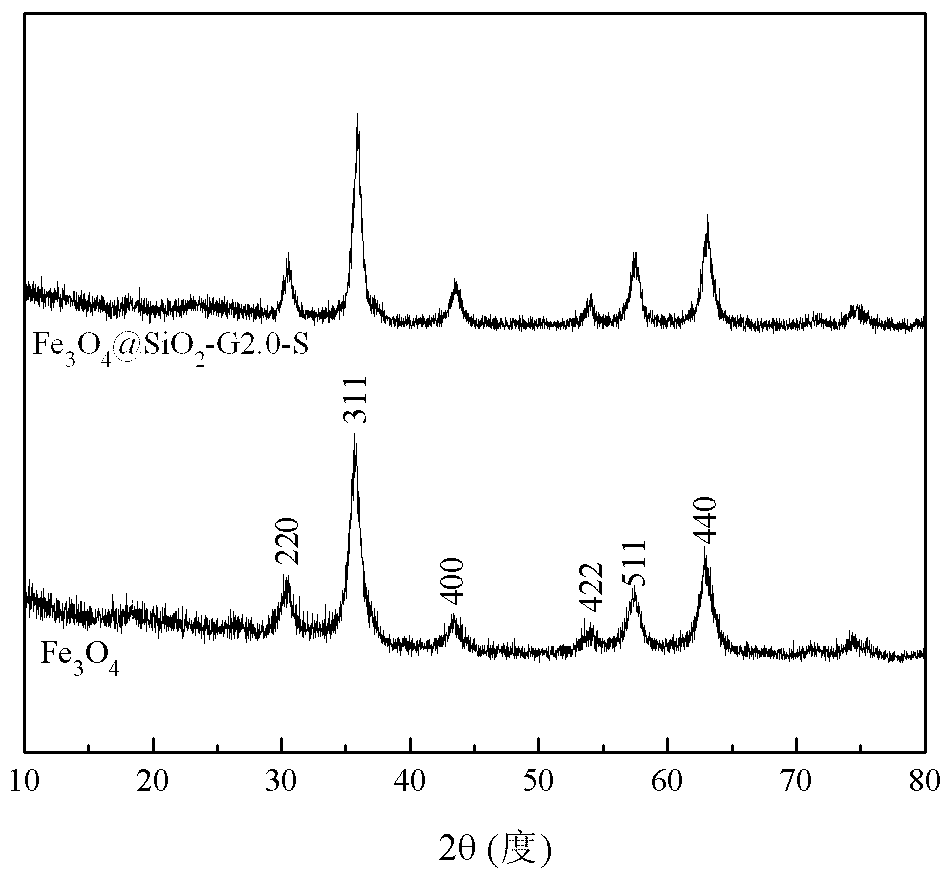 一种磁性Fe3O4负载树形大分子吸附剂的制备方法与流程