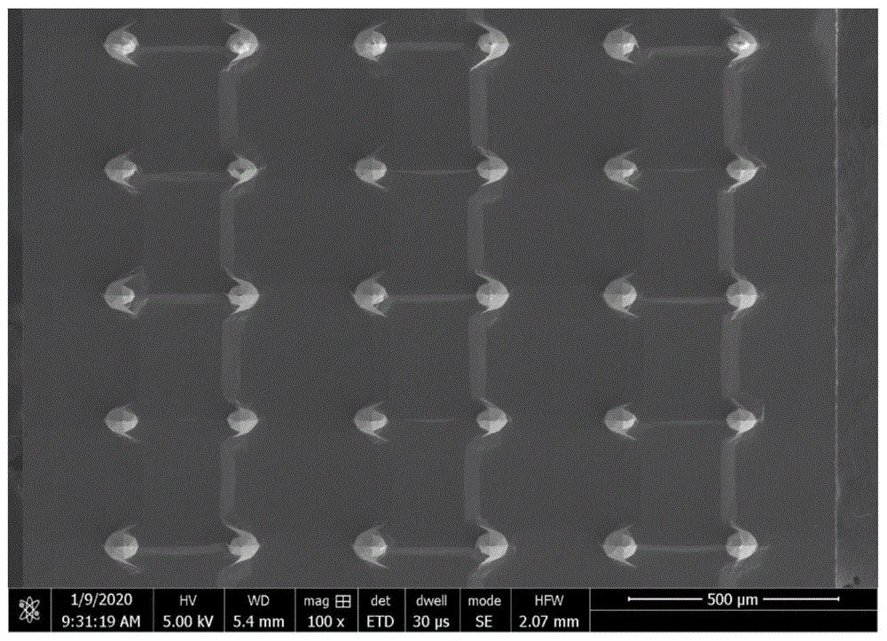一种镀银层的微针阵列及其制备方法与流程