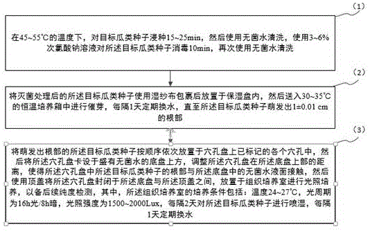 一种瓜类种子水培育苗方法及装置与流程