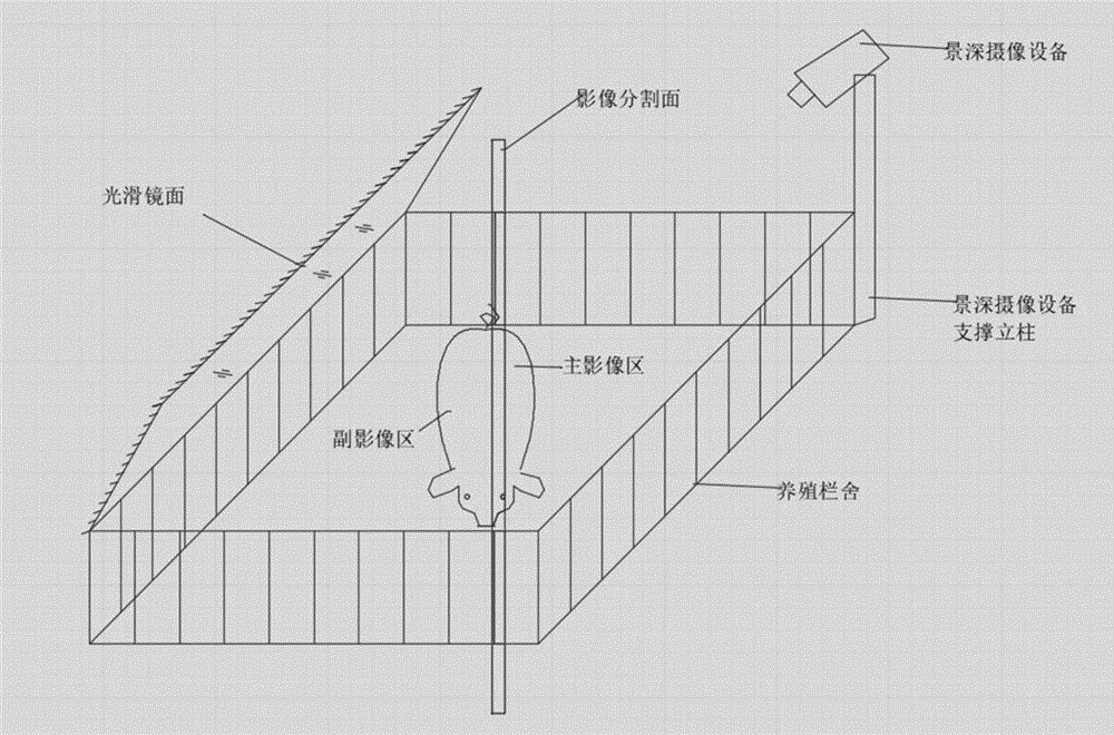 确定家畜形体参数的方法、装置、存储介质及电子装置与流程